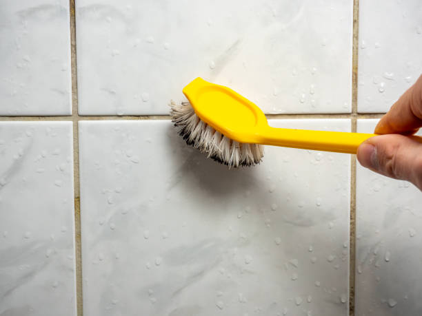Professional Mold Remediation in Gold Hill, OR