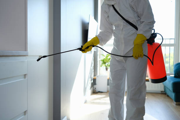 Best Localized Mold Remediation (e.g., coastal areas, humid climates) in Gold Hill, OR